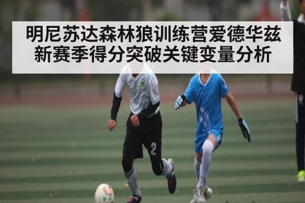 明尼苏达森林狼训练营爱德华兹新赛季得分突破关键变量分析